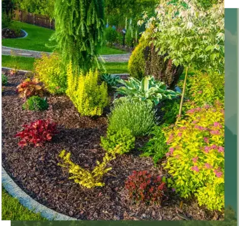 curage de puits Baud-5