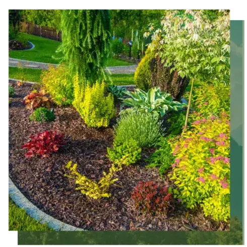 curage de puits à Camors - image 3