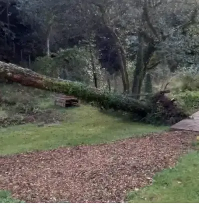 curage de puits à Le Bono - image 4