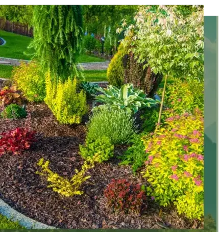 curage de puits Locoal-Mendon-1