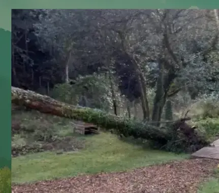 curage de puits à Locoal-Mendon - image 2