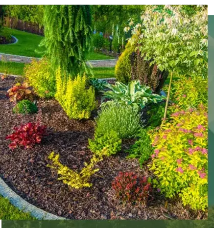 curage de puits Lorient-1