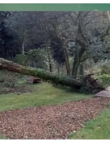 curage de puits à Lorient - image 3