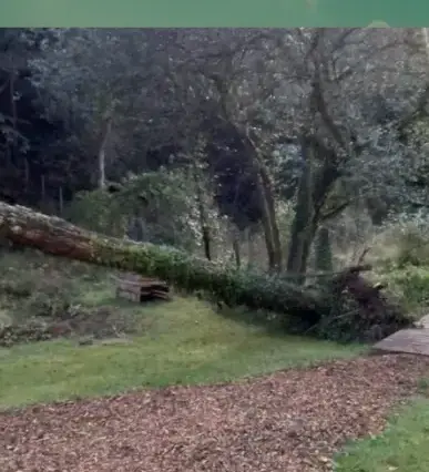 curage de puits Pluvigner-1