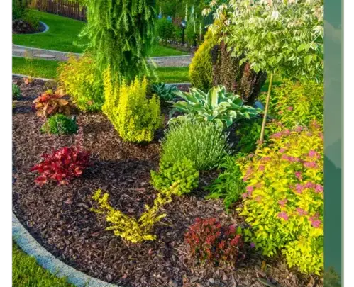 curage de puits Pluvigner-5