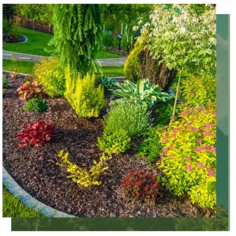 curage de puits Quistinic-1