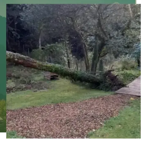 curage de puits à Quistinic - image 4