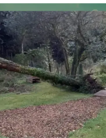 curage de puits à Vannes - image 2