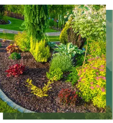 curage de puits Vannes-5