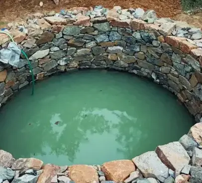 dessouchage à Arradon - image 3