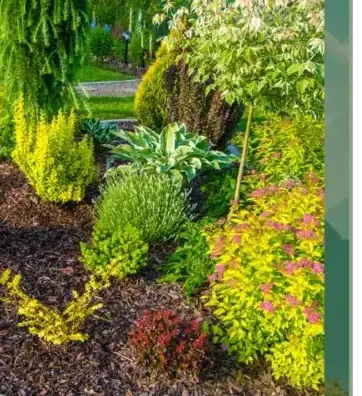 dessouchage à Arradon - image 4