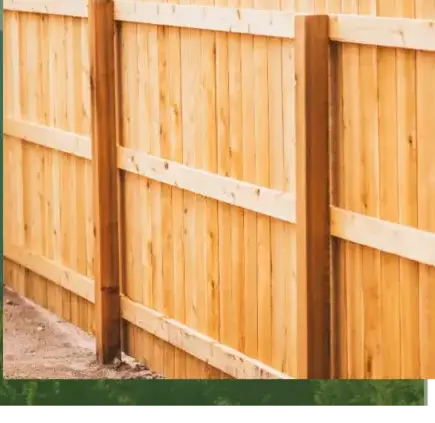 dessouchage à Baden - image 2