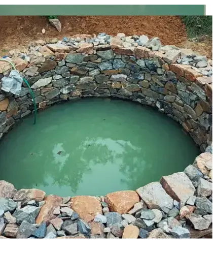 dessouchage à Baud - image 3