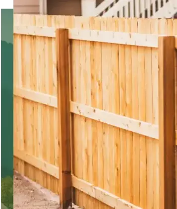 dessouchage à Baud - image 4