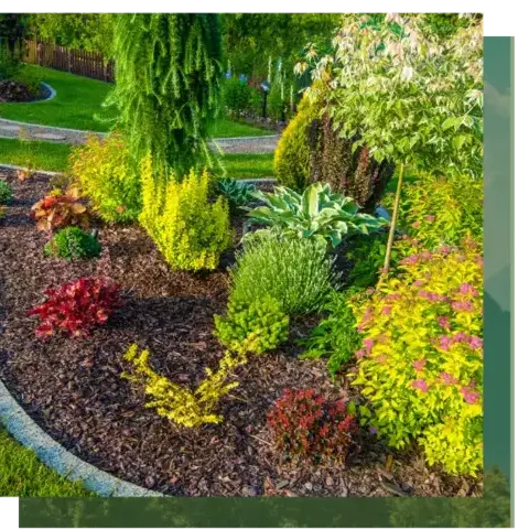 dessouchage Camors-1