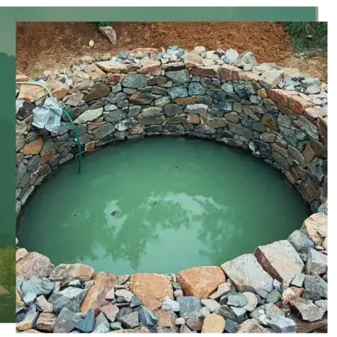 dessouchage à Camors - image 2