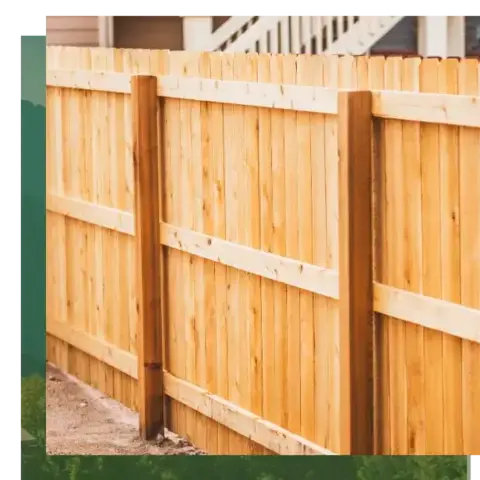 dessouchage à Camors - image 4