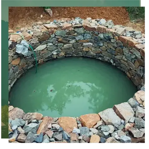 dessouchage à Étel - image 2