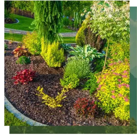 dessouchage à Étel - image 3