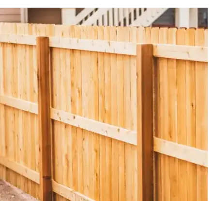 dessouchage Le Bono-1