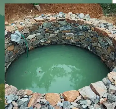 dessouchage à Le Bono - image 3