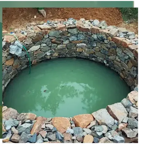 dessouchage Locoal-Mendon-1