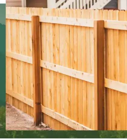 dessouchage à Locoal-Mendon - image 2