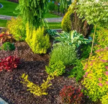 dessouchage à Locoal-Mendon - image 4