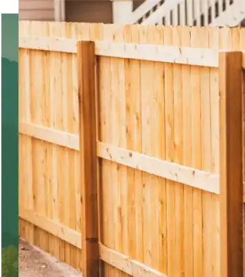 dessouchage à Lorient - image 4