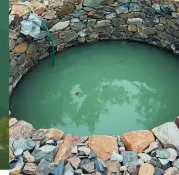 dessouchage Lorient-5