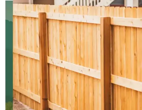 dessouchage à Pluvigner - image 2