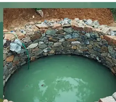 dessouchage à Pluvigner - image 4