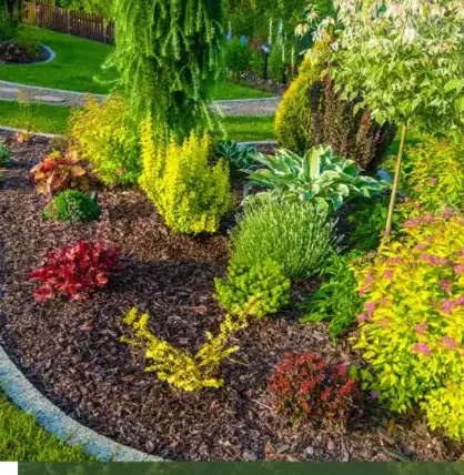 dessouchage Pluvigner-5