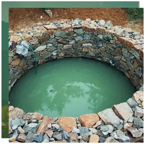 dessouchage à Quistinic - image 2