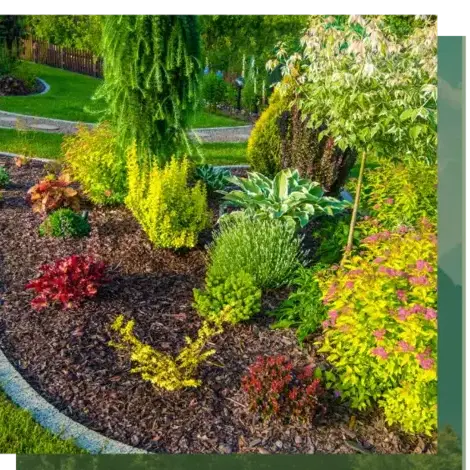 dessouchage Quistinic-5