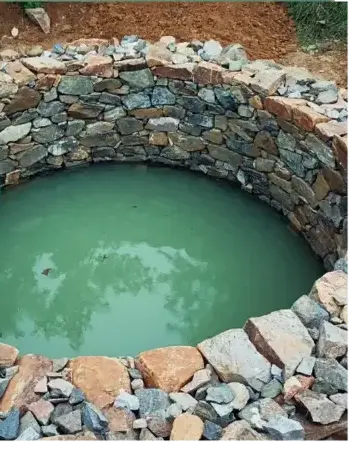 dessouchage à Vannes - image 2