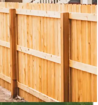 dessouchage Vannes-5