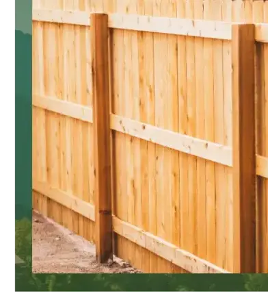 élagage à Arradon - image 2