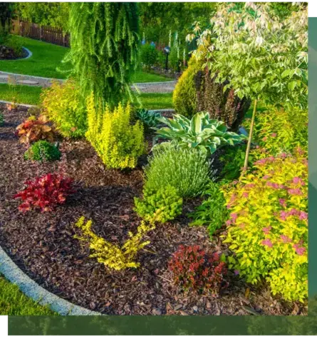 élagage à Arradon - image 4