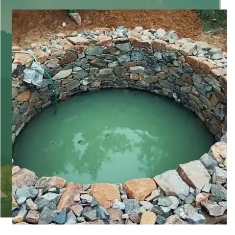 élagage à Camors - image 4