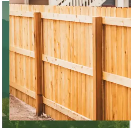 élagage à Étel - image 3