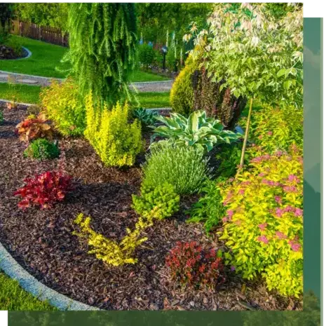 élagage à Étel - image 4