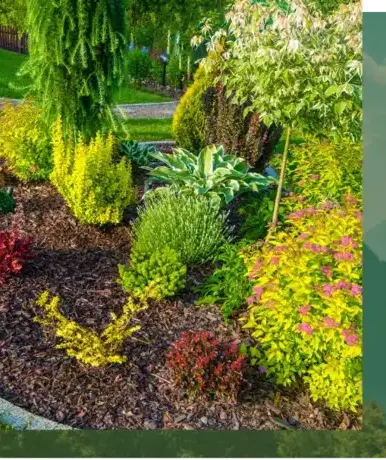 élagage à Lorient - image 4