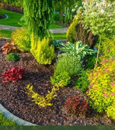 élagage Pluvigner-1