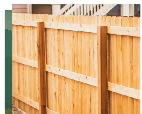 élagage à Pluvigner - image 4