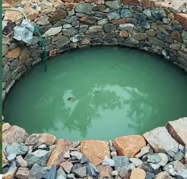 élagage Pluvigner-5