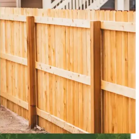 élagage à Quistinic - image 4