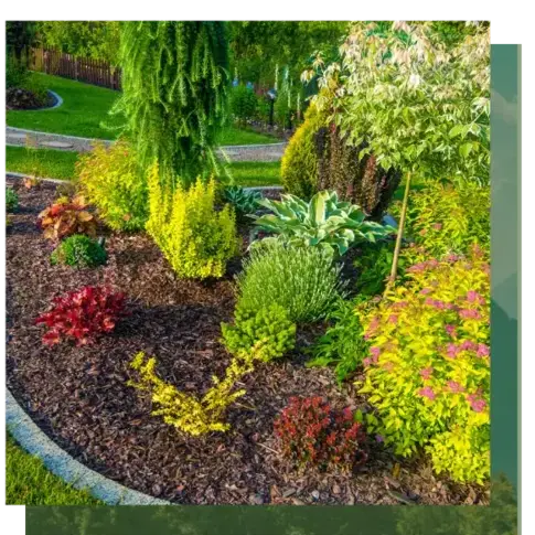 élagage Quistinic-5