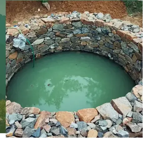 entretien jardin Arradon-1