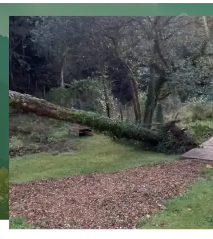 entretien jardin à Arradon - image 3